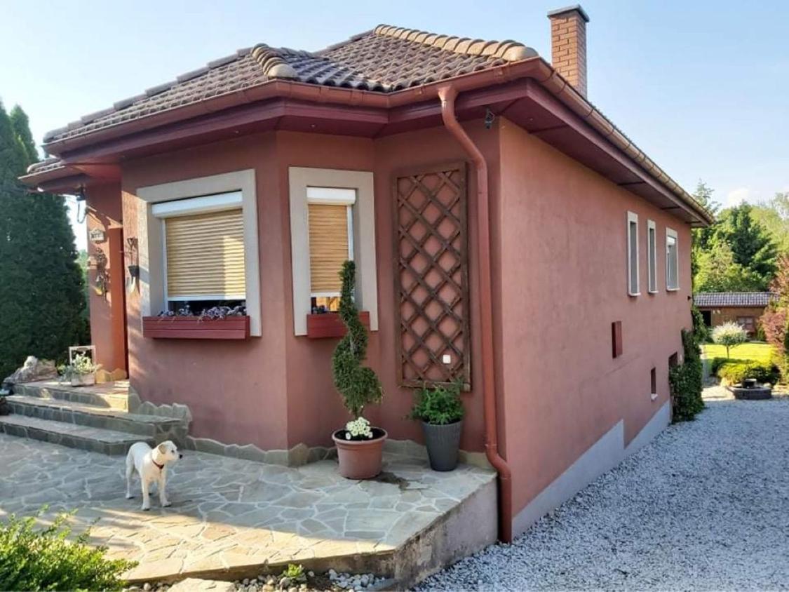 Nyirjes Vendeghaz Hotel Balassagyarmat Exterior foto