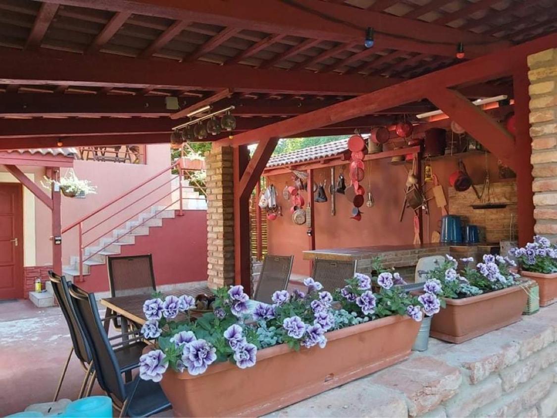 Nyirjes Vendeghaz Hotel Balassagyarmat Exterior foto