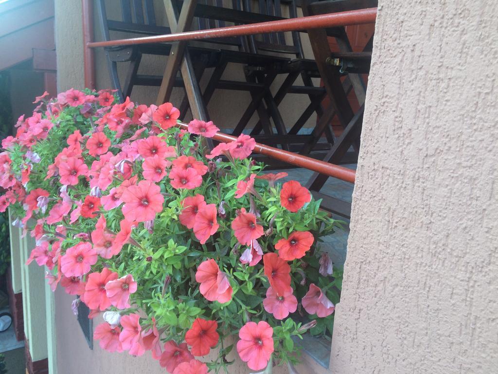 Nyirjes Vendeghaz Hotel Balassagyarmat Exterior foto