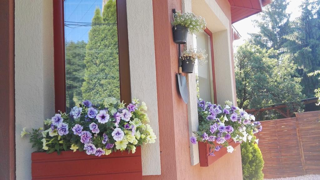 Nyirjes Vendeghaz Hotel Balassagyarmat Exterior foto
